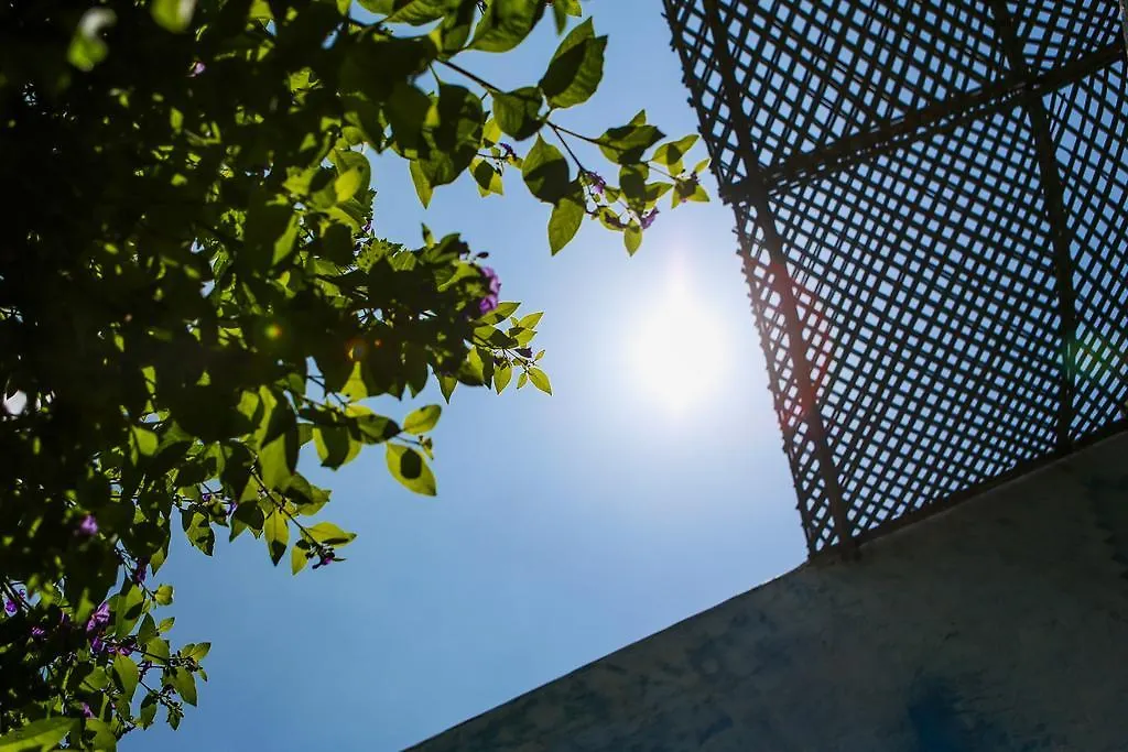 Riad Jardin Des Biehn Fes