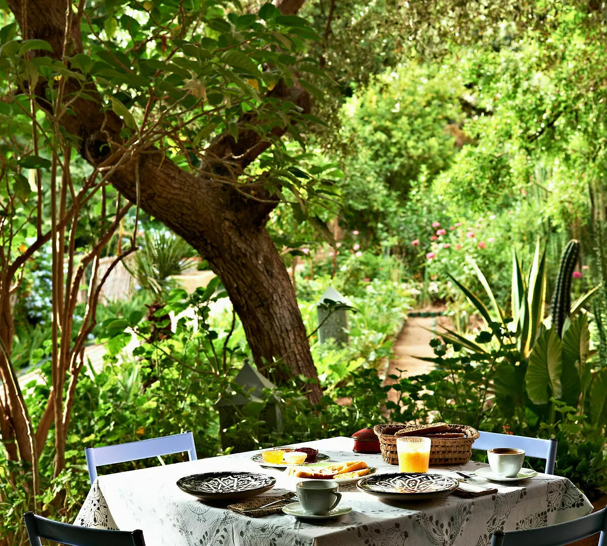 Riad Jardin Des Biehn Fes